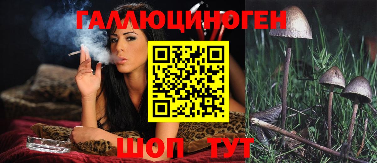 Оренбург  цены наркотик  Вход с VPN  Галлюциногенные грибы Psilocybe 